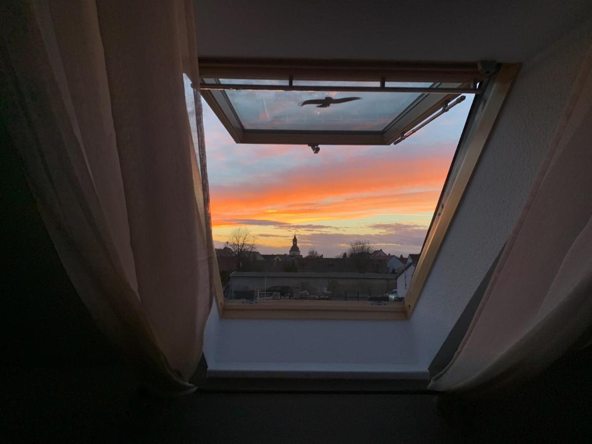 Ferienwohnung Oelzschau - Urlaub Im Leipziger Neuseenland Rötha Exterior foto